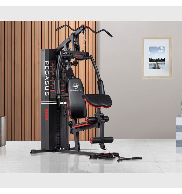 Πολυόργανο Pegasus® MS‑600